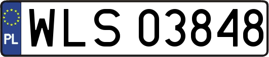 WLS03848
