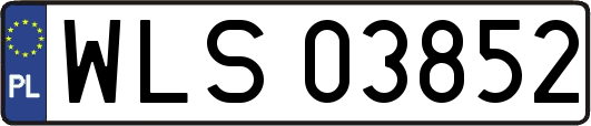 WLS03852