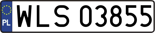 WLS03855