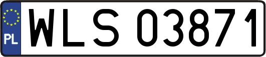 WLS03871