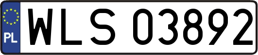 WLS03892