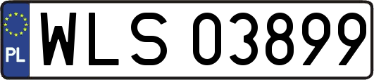 WLS03899