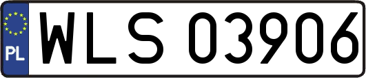 WLS03906