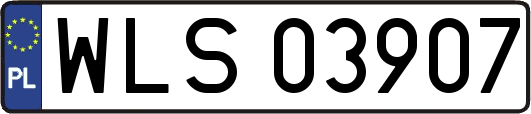 WLS03907