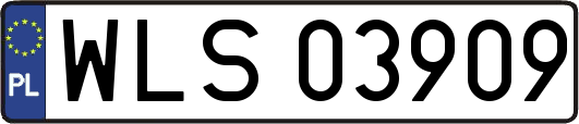 WLS03909