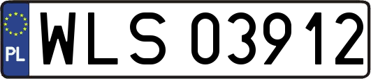 WLS03912