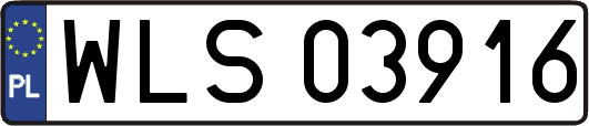 WLS03916