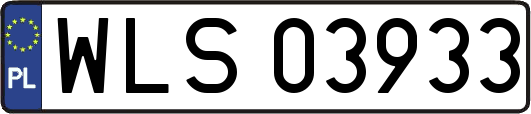 WLS03933