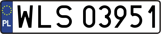 WLS03951