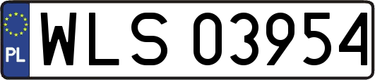 WLS03954
