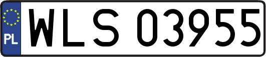 WLS03955