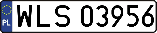 WLS03956