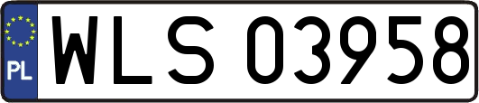 WLS03958