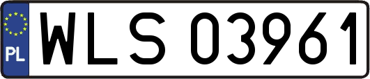 WLS03961