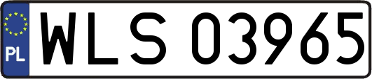 WLS03965