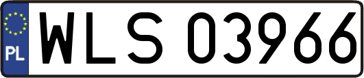 WLS03966