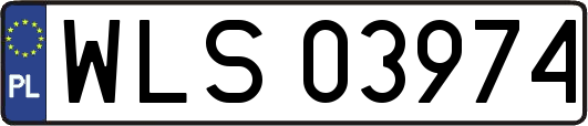 WLS03974