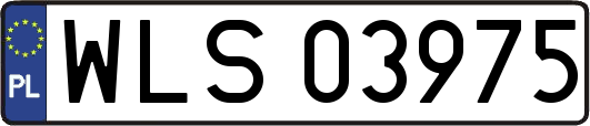 WLS03975