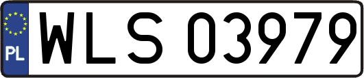 WLS03979