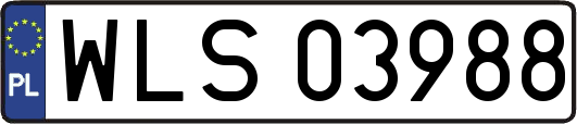 WLS03988