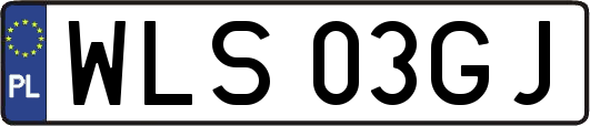 WLS03GJ