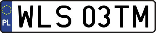 WLS03TM