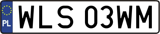 WLS03WM