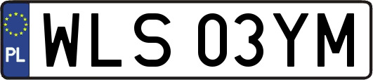 WLS03YM