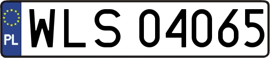 WLS04065