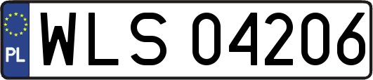 WLS04206