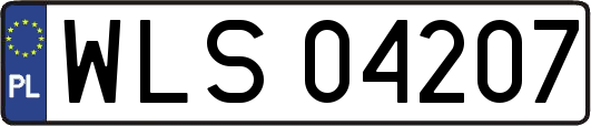WLS04207