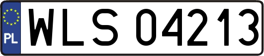 WLS04213