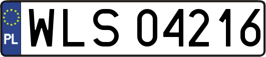WLS04216