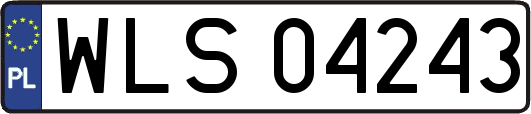 WLS04243