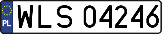 WLS04246