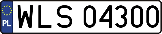 WLS04300