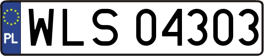 WLS04303