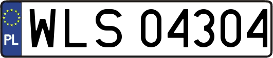 WLS04304