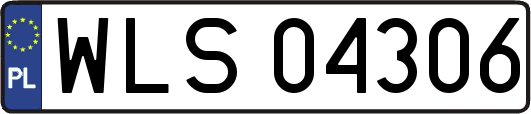WLS04306