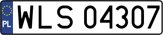 WLS04307