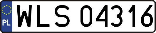 WLS04316