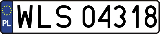 WLS04318