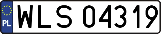 WLS04319