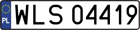 WLS04419