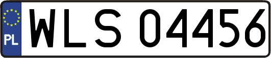 WLS04456