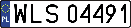 WLS04491