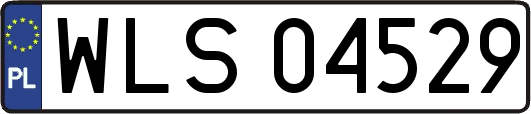 WLS04529