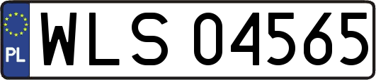 WLS04565