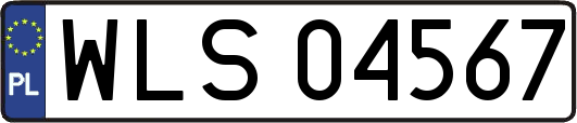 WLS04567