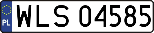 WLS04585